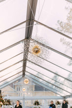 Clear Top Tents